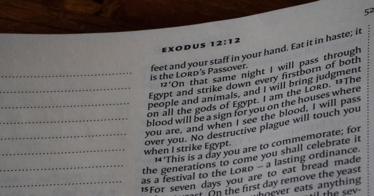 Kindness and Respect in Judaism