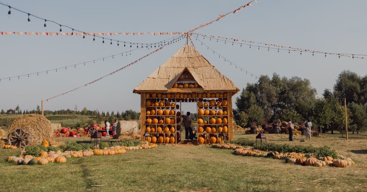 Guide to Sukkot